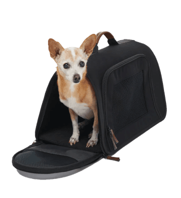 Explore new arrivals